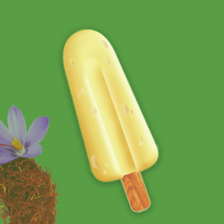 Kewra Kulfi