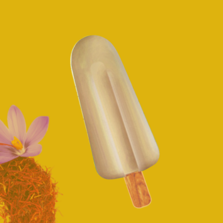 Punjabi Kulfi